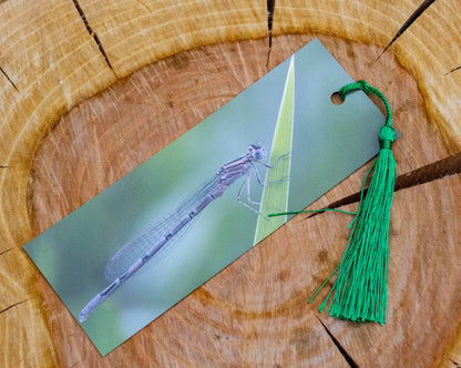 Damselfly Bookmark - Swindon wildlife photography