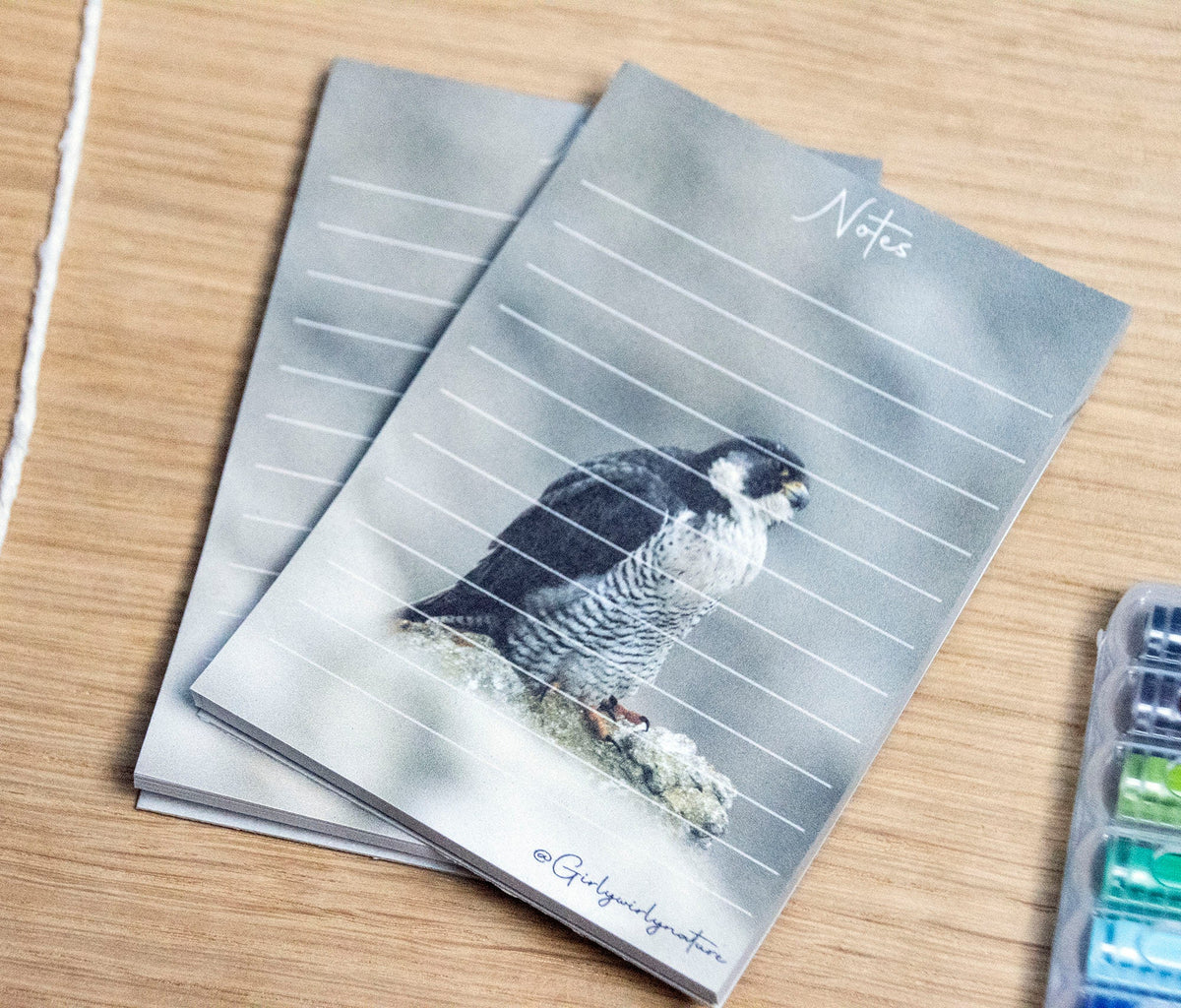 Peregrine Falcon Pocket Notepad - bird of prey wildlife stationery