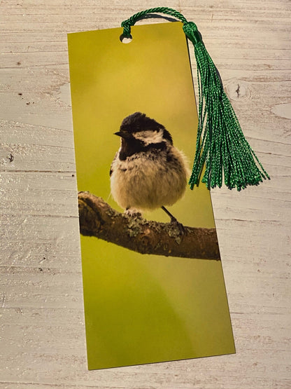 Coal Tit Bookmark - Swindon wildlife photography