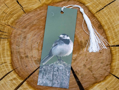 Pied Wagtail Bookmark - Scotland wildlife photography