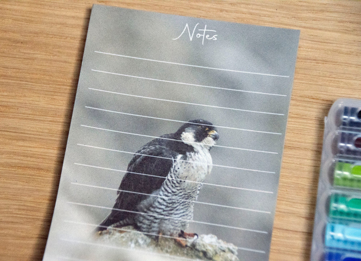 Peregrine Falcon Pocket Notepad - bird of prey wildlife stationery