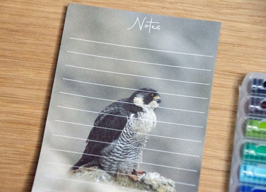 Peregrine Falcon Pocket Notepad - bird of prey wildlife stationery