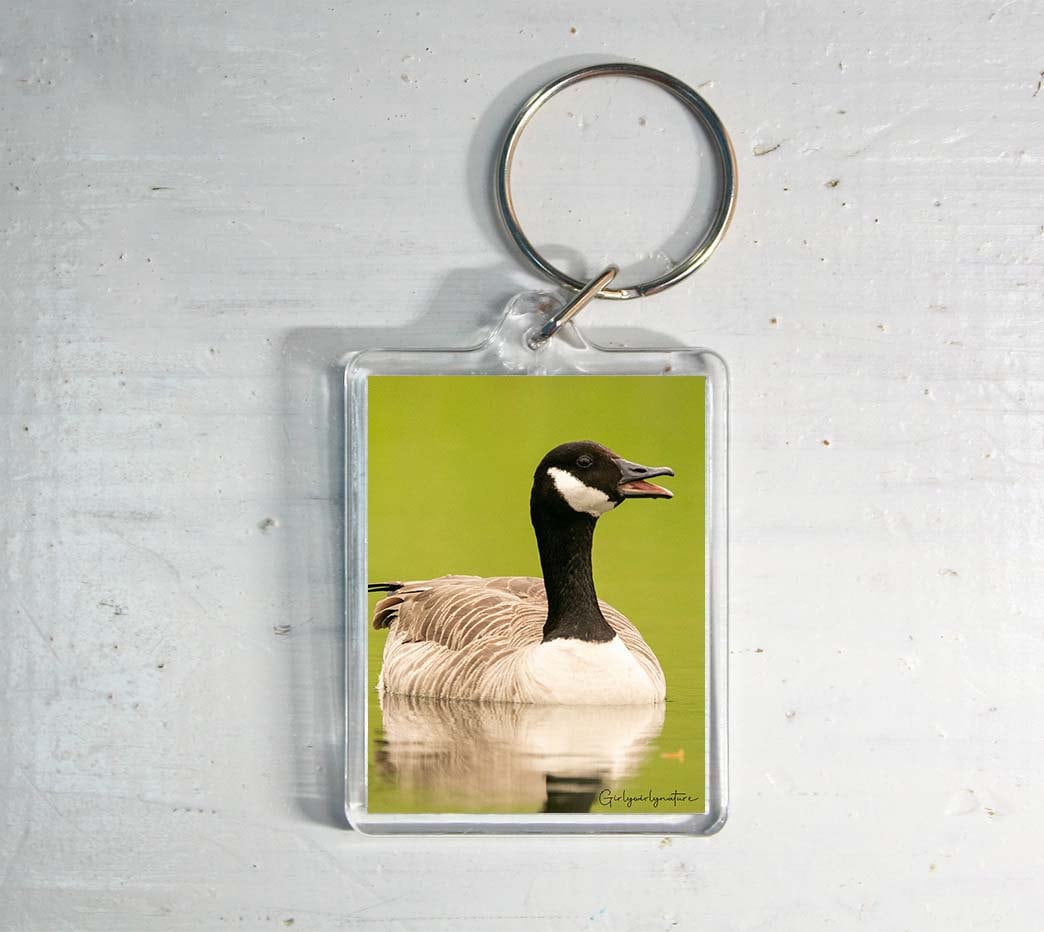 Canada Goose Keyring - wildlife photography keychain