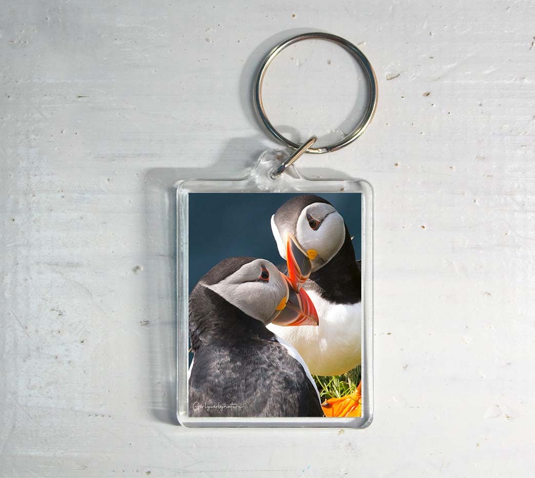 Puffin Couple Keyring - coastal wildlife photography keychain