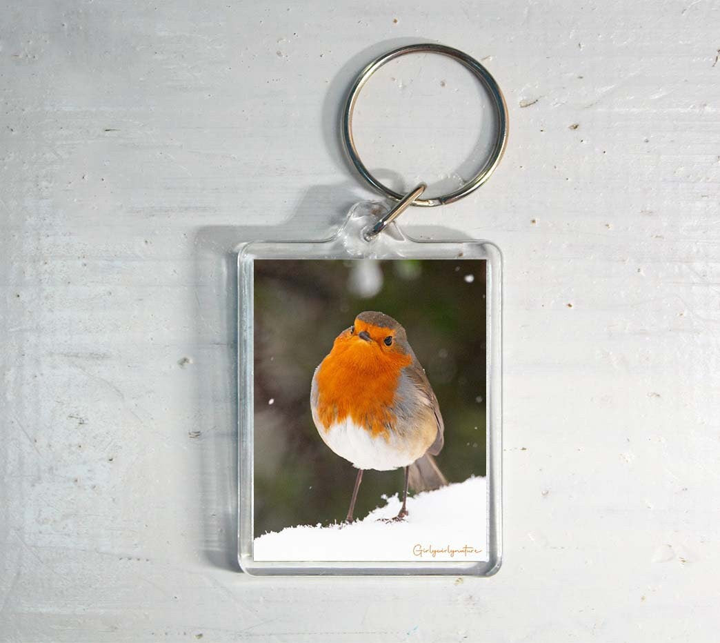 Robin in Snow Keyring - winter wildlife photography keychain