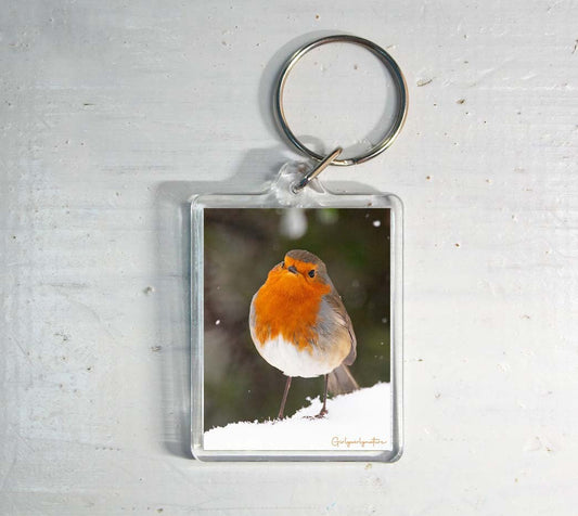 Robin in Snow Keyring - winter wildlife photography keychain