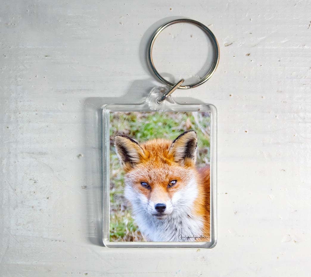 Red Fox Keyring - British wildlife photography keychain