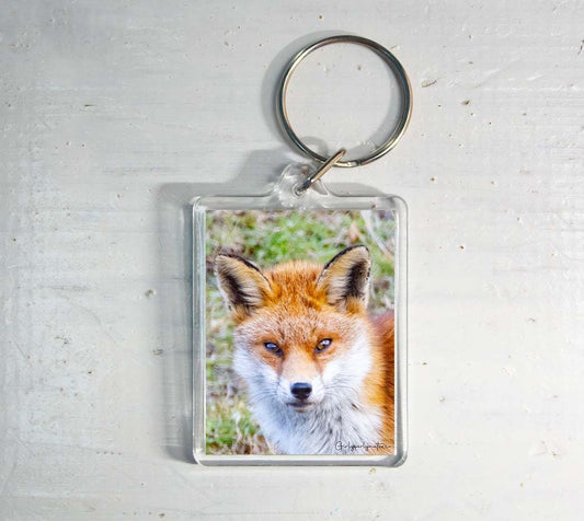 Red Fox Keyring - British wildlife photography keychain