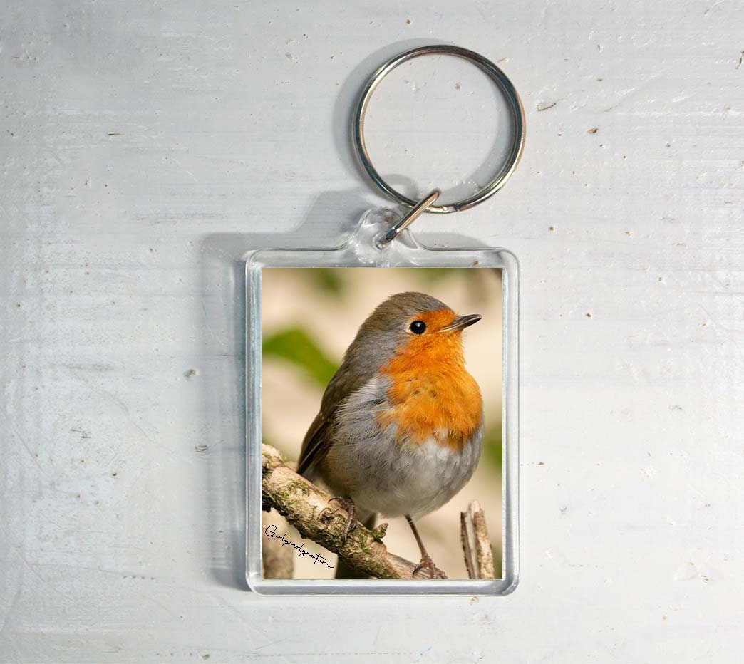 Robin Keyring - British wildlife photography keychain