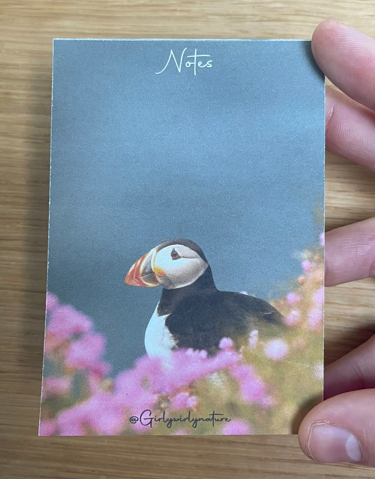 Puffin Sea Pinks Notepad - coastal wildlife stationery