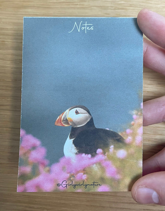 Puffin Sea Pinks Notepad - coastal wildlife stationery