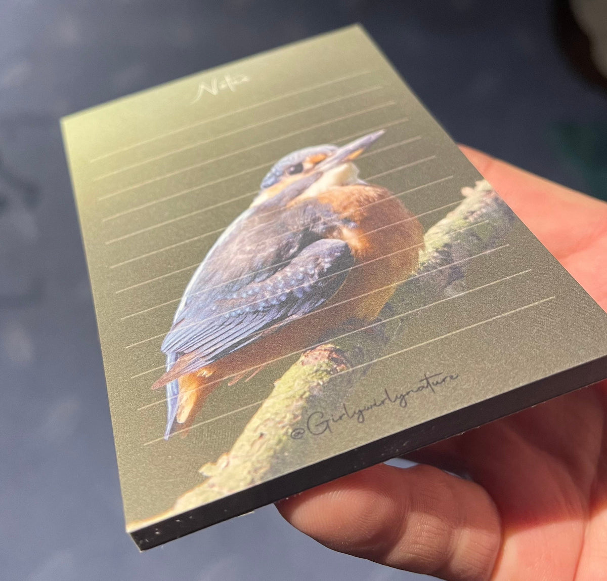 Kingfisher Notepad - British wildlife stationery