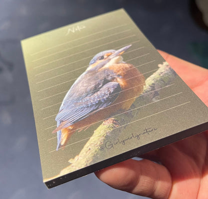 Kingfisher Notepad - British wildlife stationery