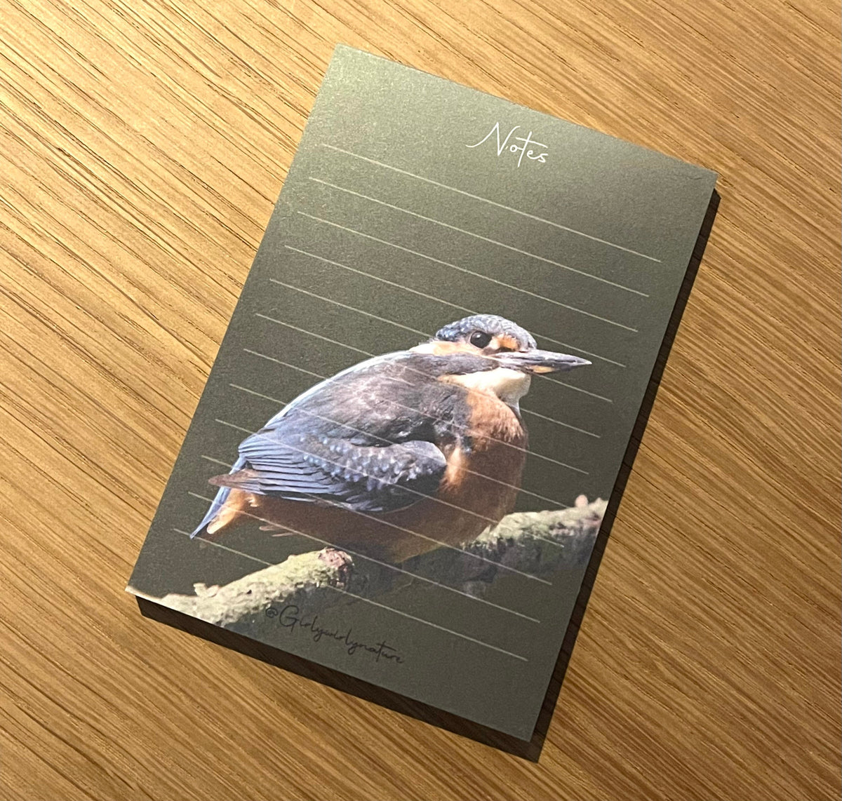 Kingfisher Notepad - British wildlife stationery