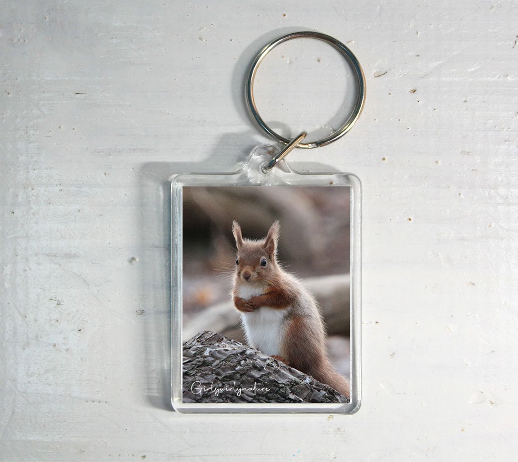 Red Squirrel Keyring - British wildlife photography keychain
