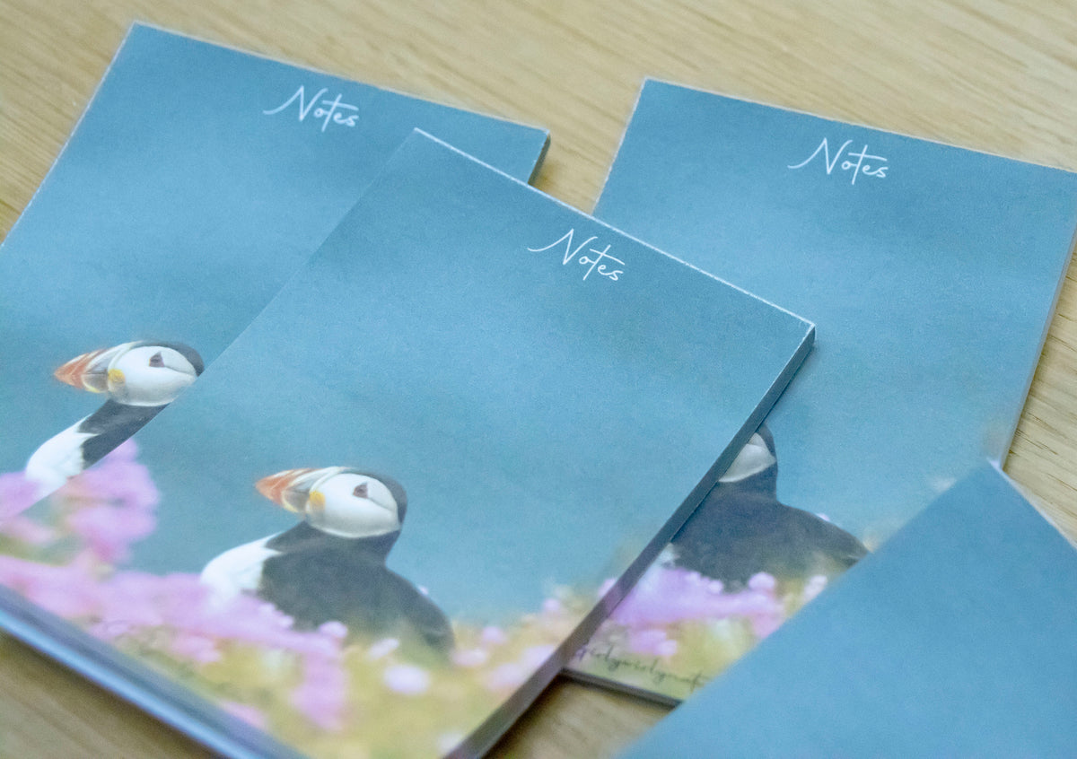 Puffin Sea Pinks Notepad - coastal wildlife stationery