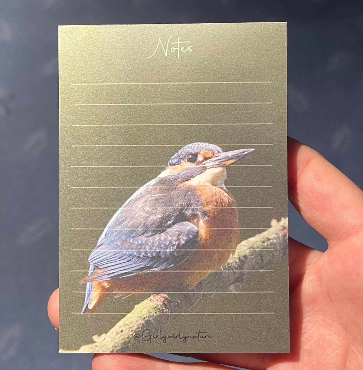 Kingfisher Notepad - British wildlife stationery