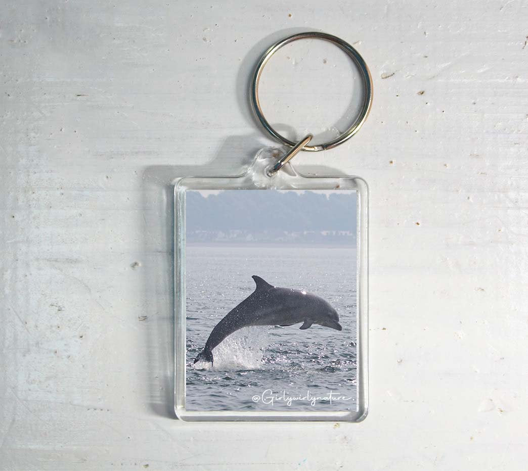 Jumping Dolphin Keyring - ocean wildlife photography keychain