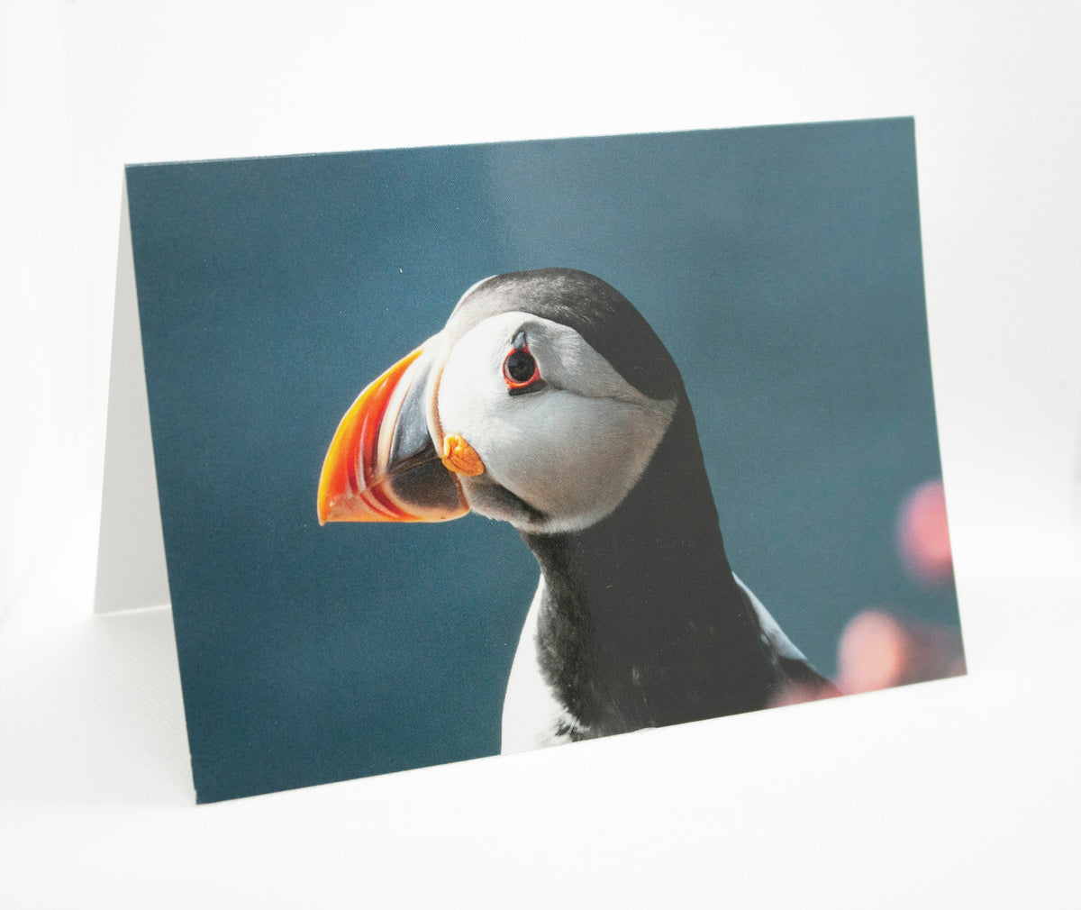 Puffin Gift Pack - notepad, greeting card and bookmark bundle