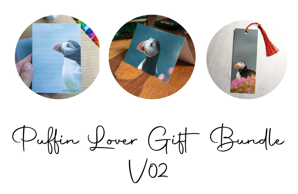 Puffin Gift Pack - styled cover shot