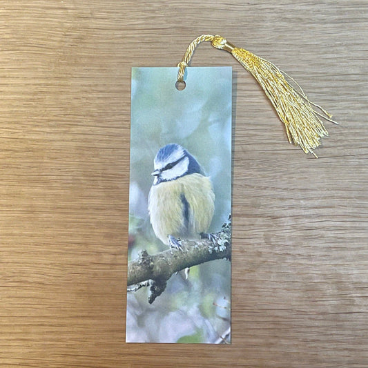 Blue Tit Bookmark - UK wildlife photography