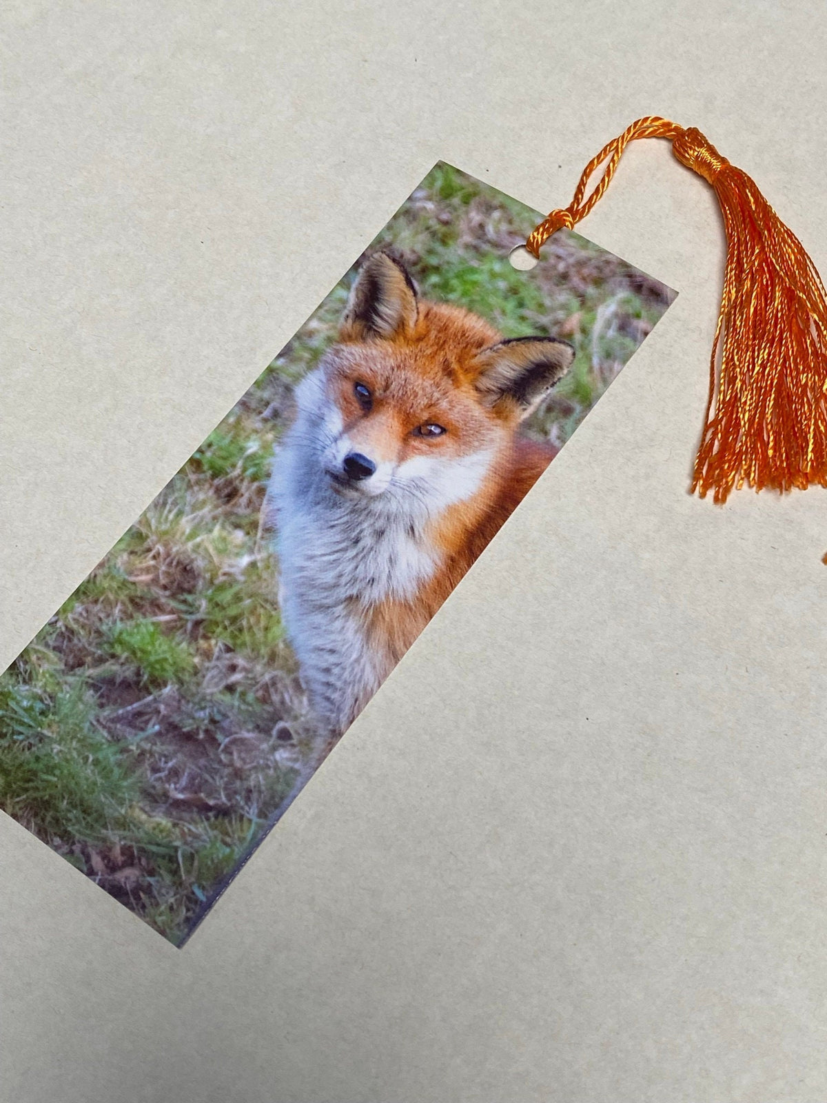 Red Fox Bookmark - Bristol wildlife photography