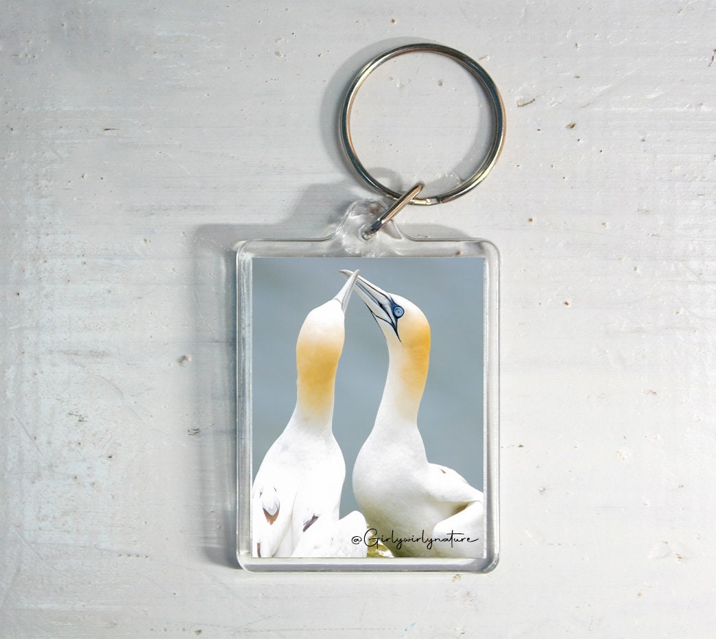 Northern Gannet Keyring - coastal wildlife photography keychain
