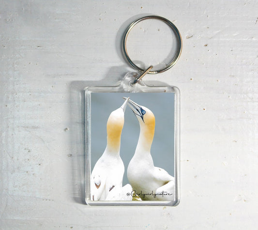 Northern Gannet Keyring - coastal wildlife photography keychain