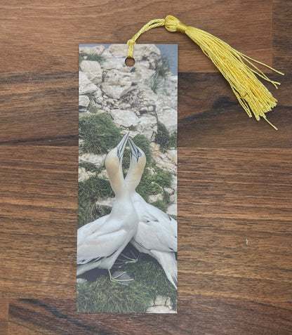 Gannet Bookmark - Bempton Cliffs wildlife photography