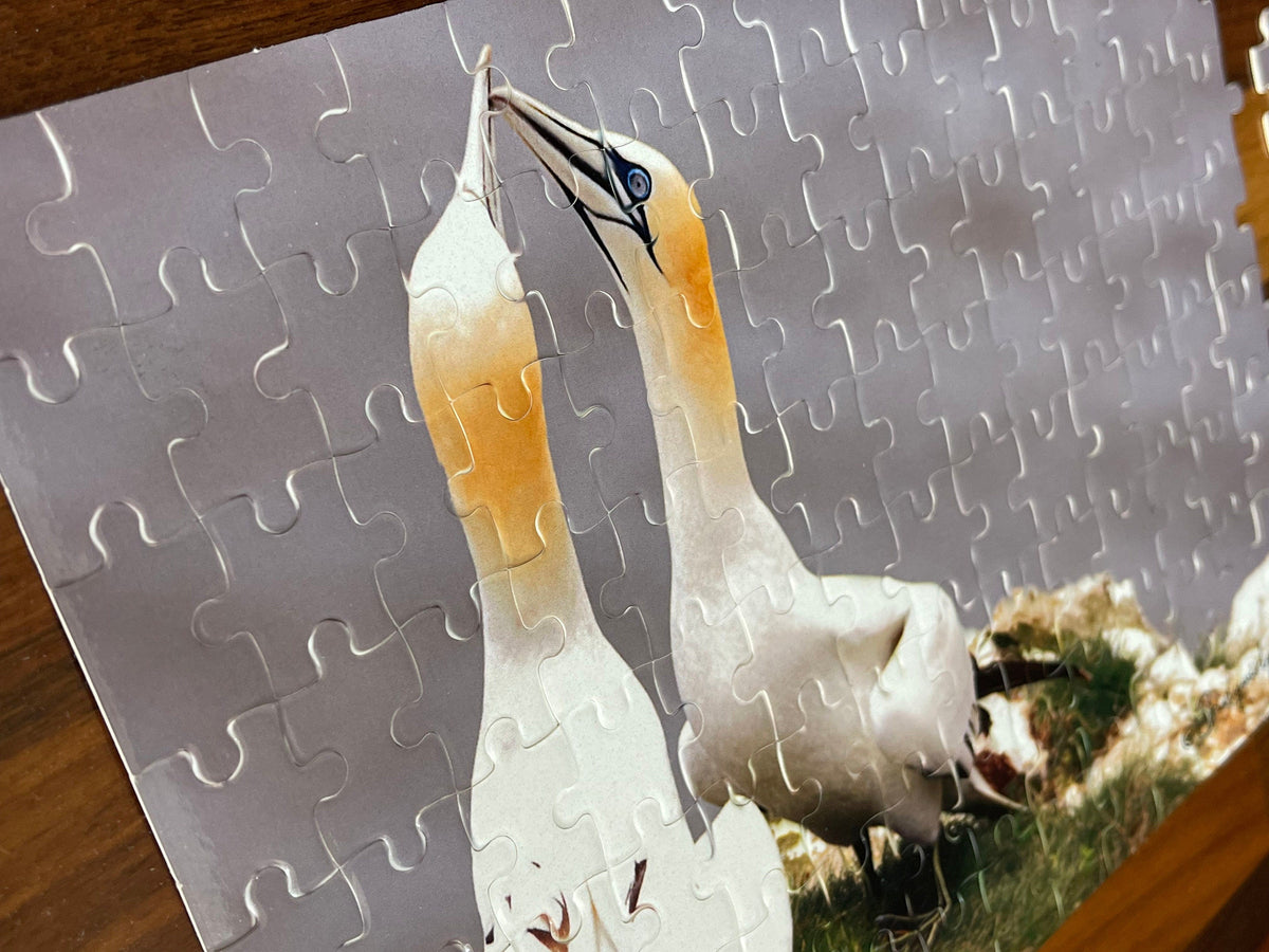 Gannets Billing Puzzle - Bempton Cliffs wildlife photography jigsaw