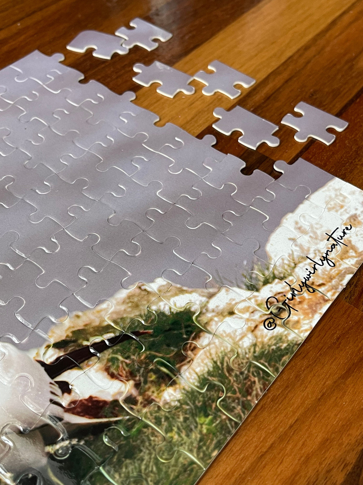 Gannets Billing Puzzle - Bempton Cliffs wildlife photography jigsaw