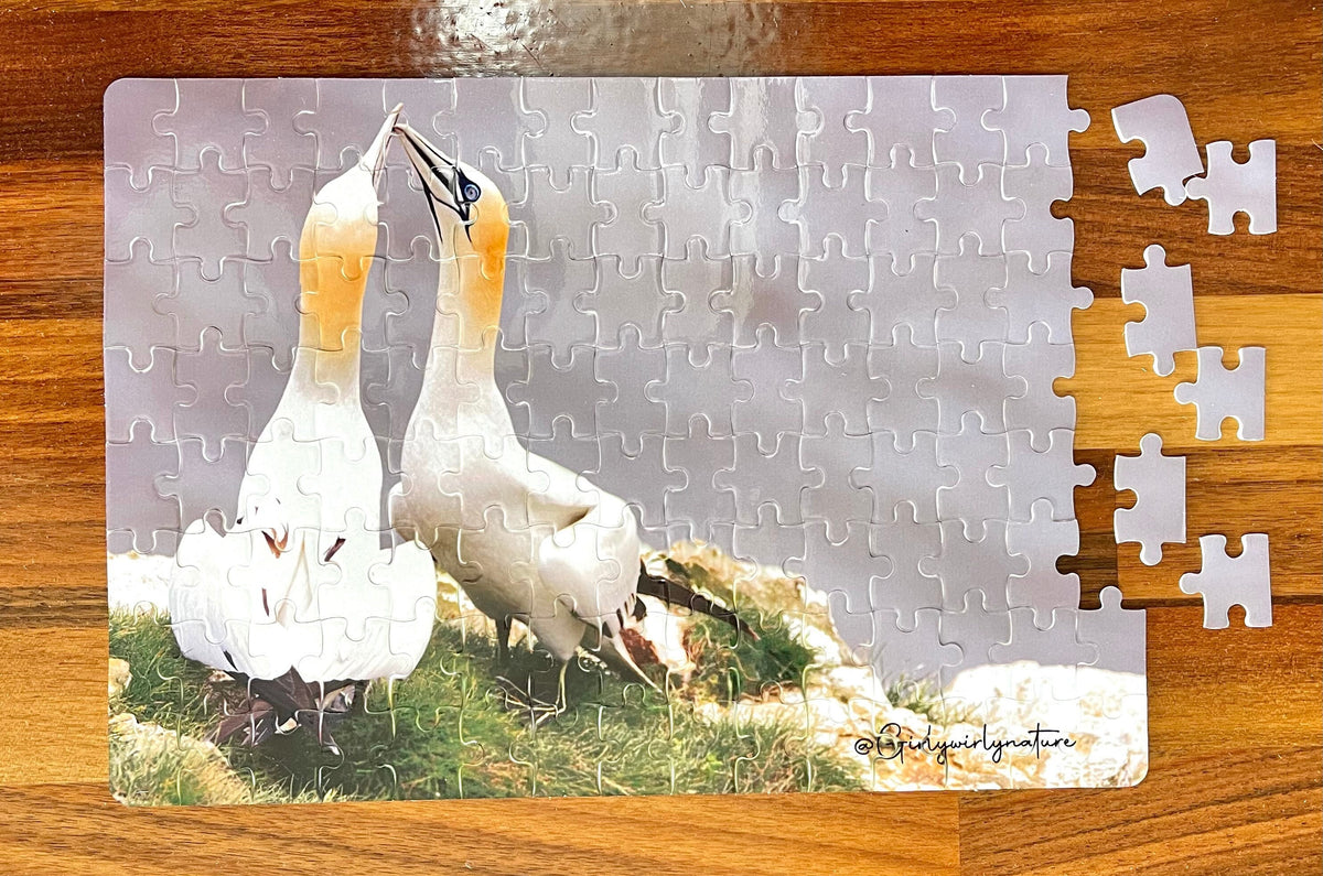 Gannets Billing Puzzle - Bempton Cliffs wildlife photography jigsaw