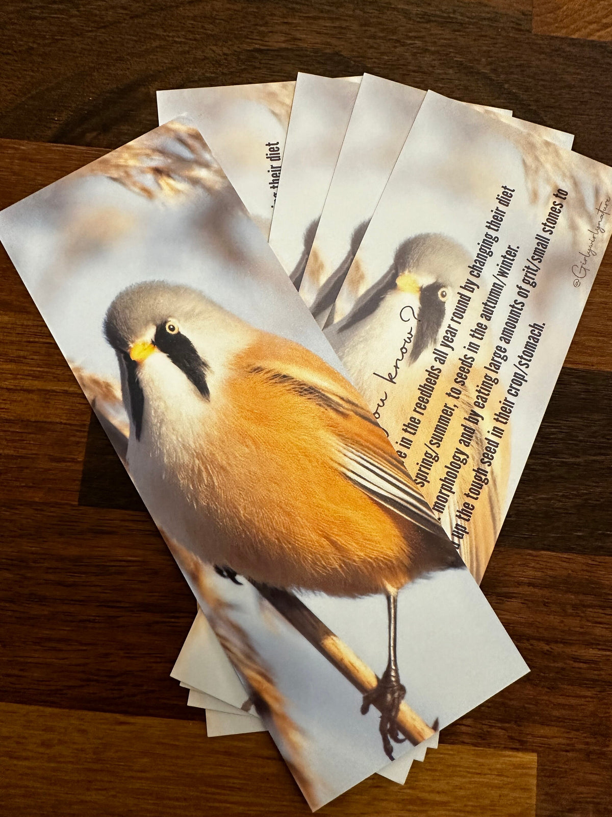 Bearded Tit Bookmark - UK wildlife photography