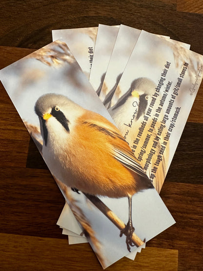 Bearded Tit Bookmark - UK wildlife photography