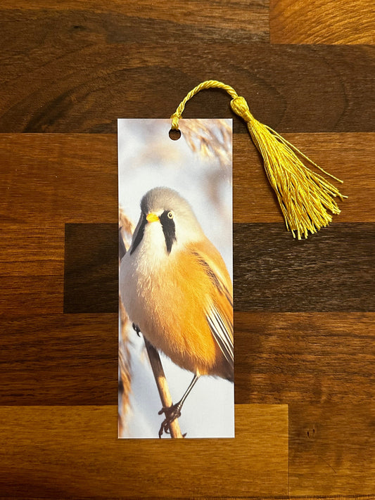 Bearded Tit Bookmark - UK wildlife photography