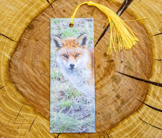 Red Fox Bookmark - Bristol wildlife photography