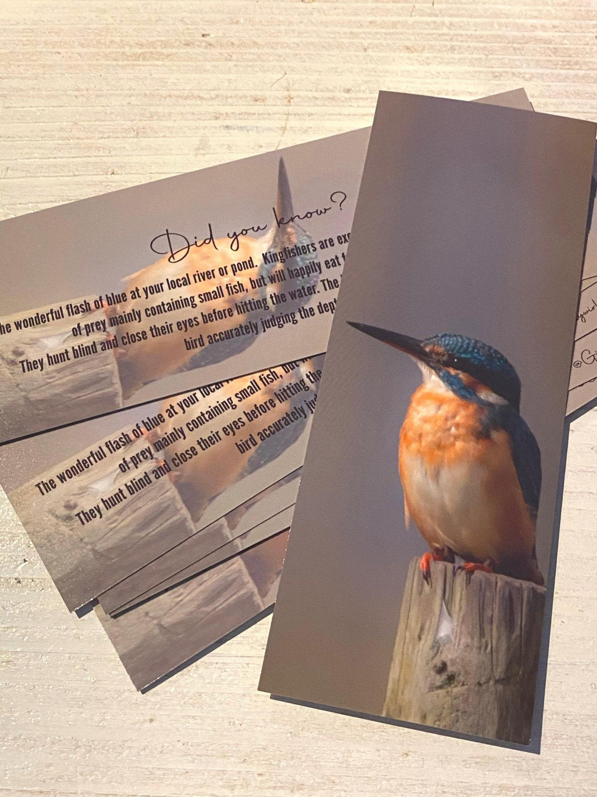 Kingfisher Bookmark - Swindon wildlife photography