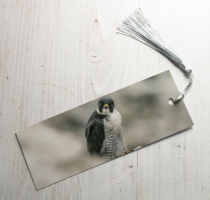 Peregrine Falcon Bookmark - Dorset wildlife photography