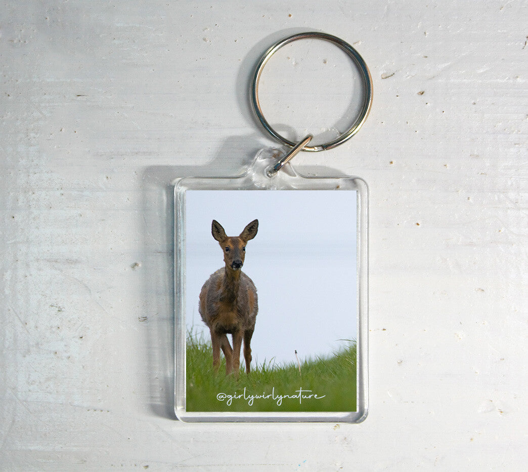 Roe Deer Keyring - British wildlife photography