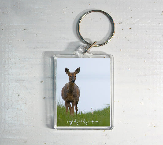 Roe Deer Keyring - British wildlife photography