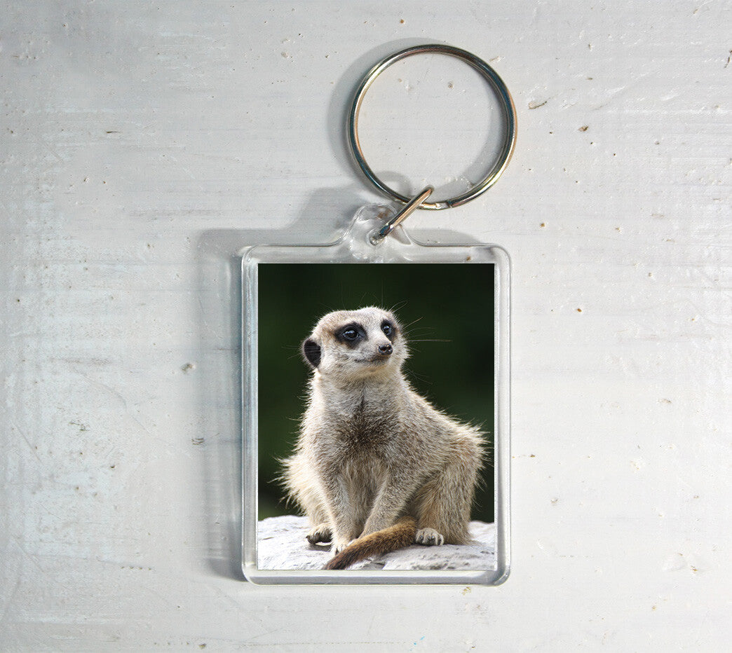 Meerkat Keyring - wildlife photography