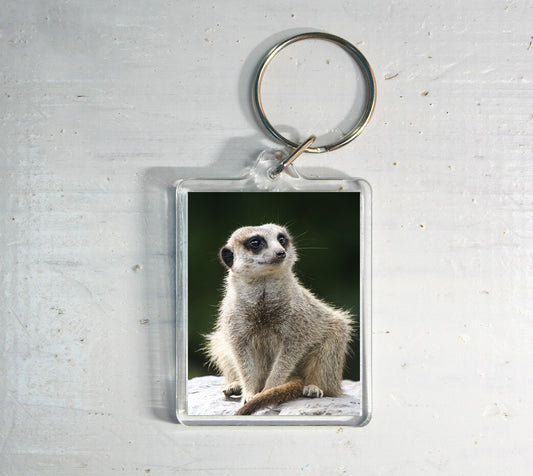 Meerkat Keyring - wildlife photography