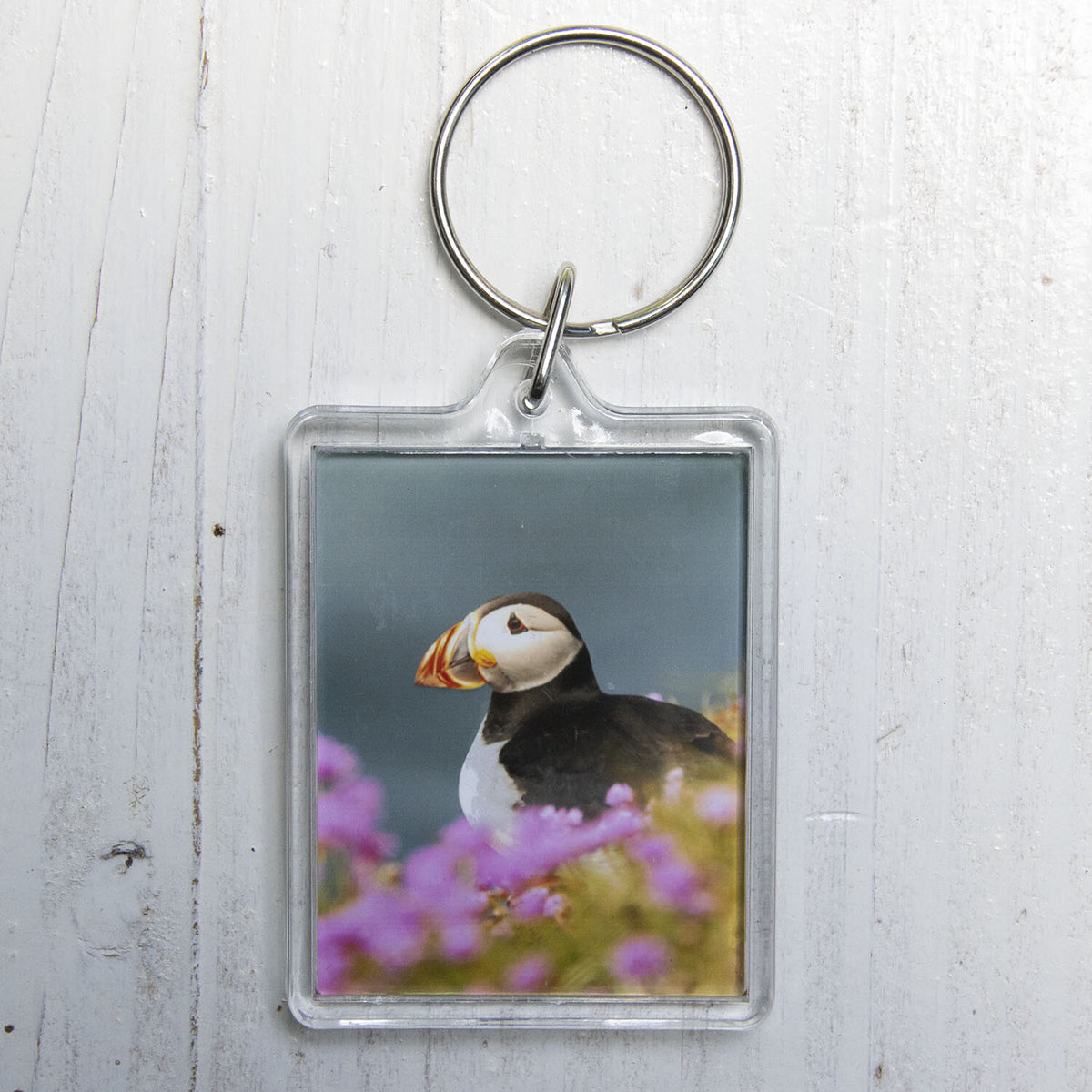 Puffin Pinks Keyring - coastal wildlife photography