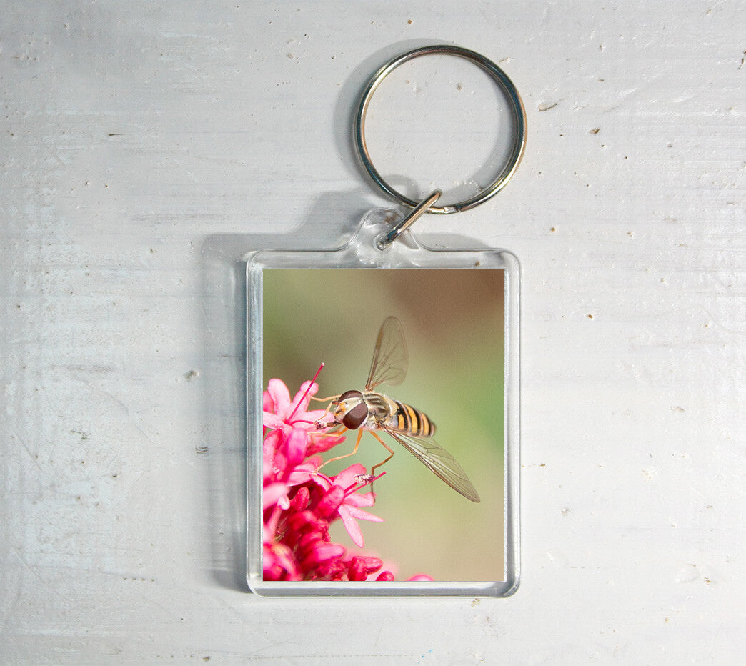 Hoverfly Keyring - British wildlife photography