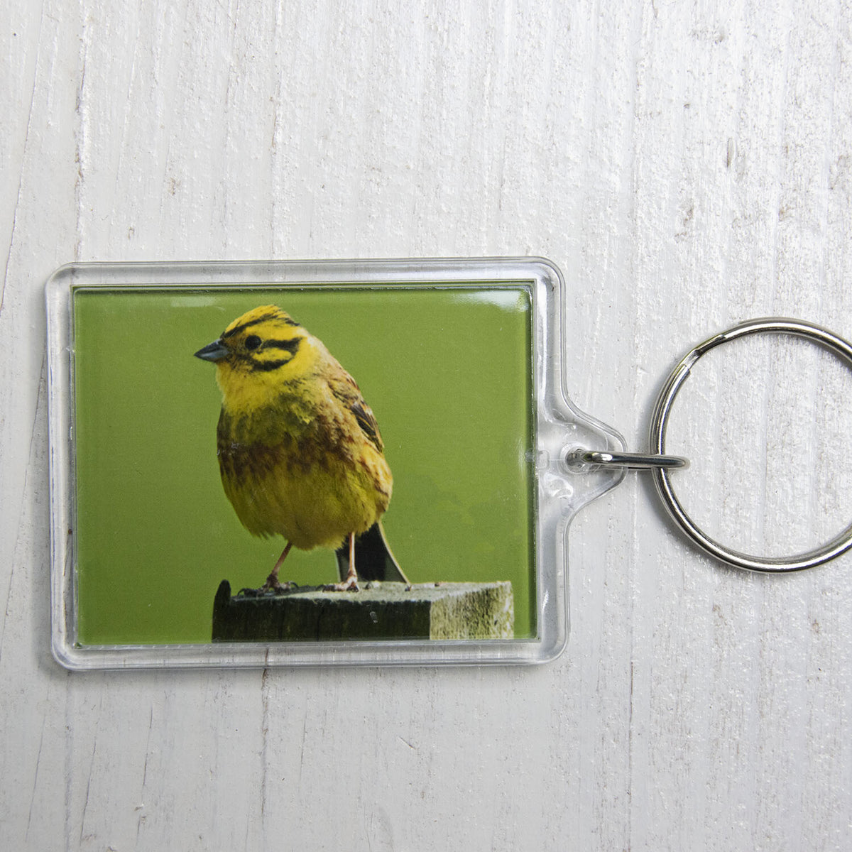 Yellowhammer Keyring - British wildlife photography