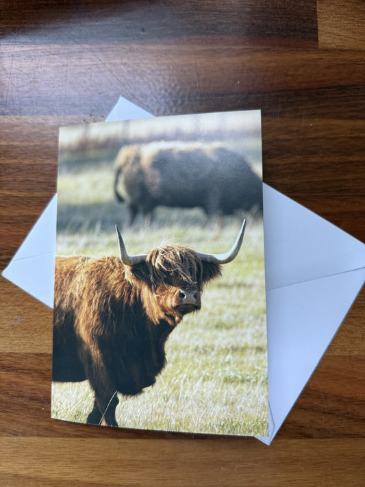 Highland Cow Gift Bundle - card and keyring set