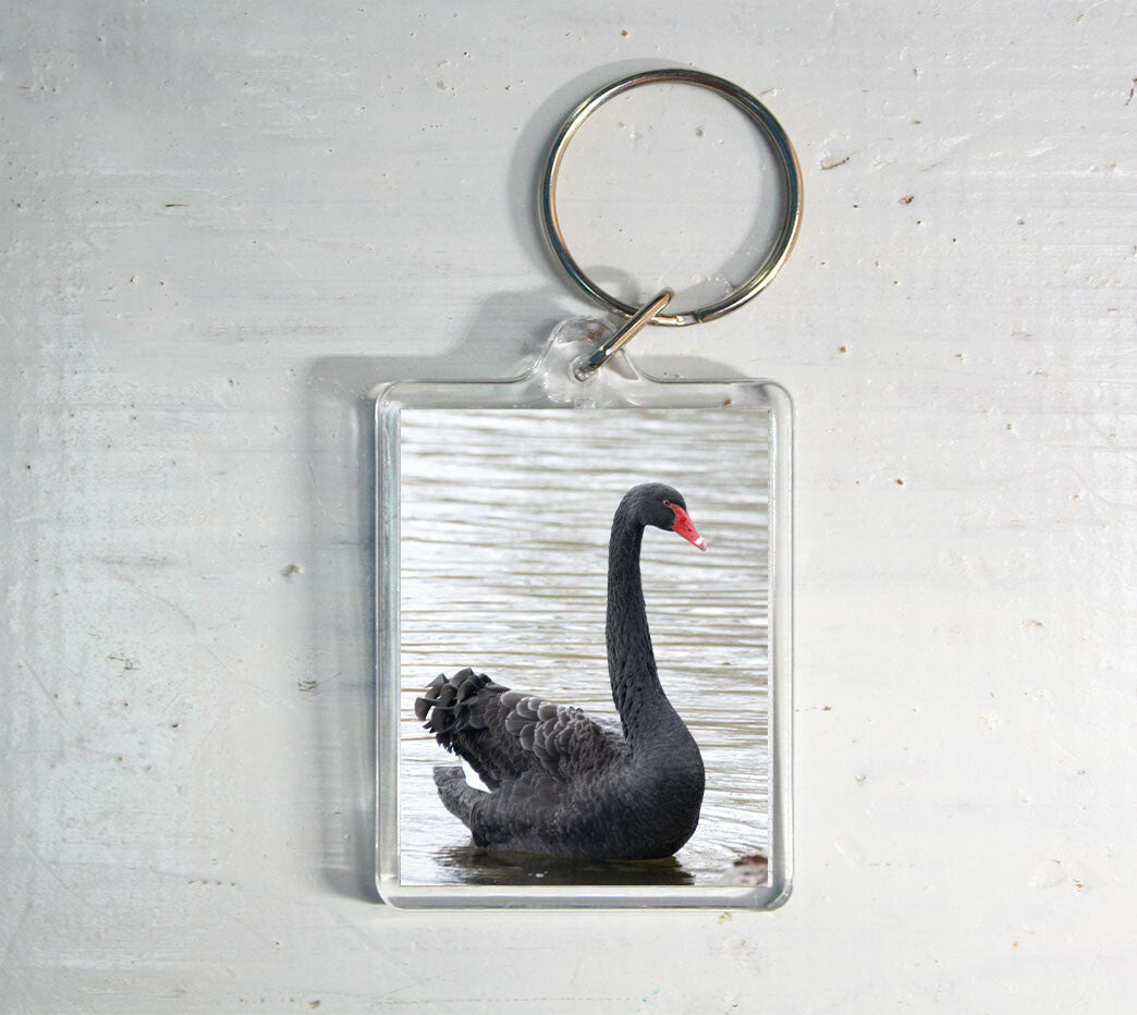 Black Swan Keyring - wildlife photography