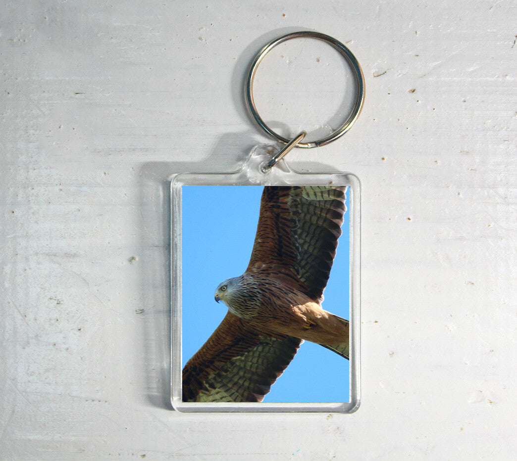 Red Kite Keyring - bird of prey wildlife photography