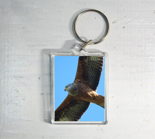 Red Kite Keyring - bird of prey wildlife photography