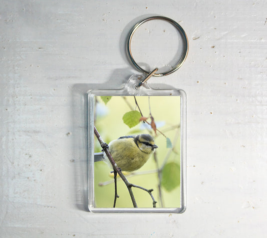Hanging Blue Tit Keyring - British wildlife photography